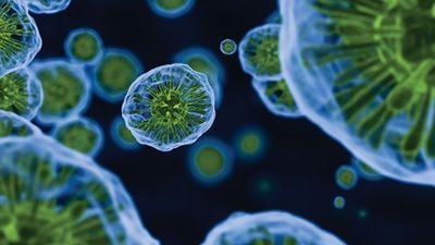 how-water-contaminants-impact-lab-analyses-s
